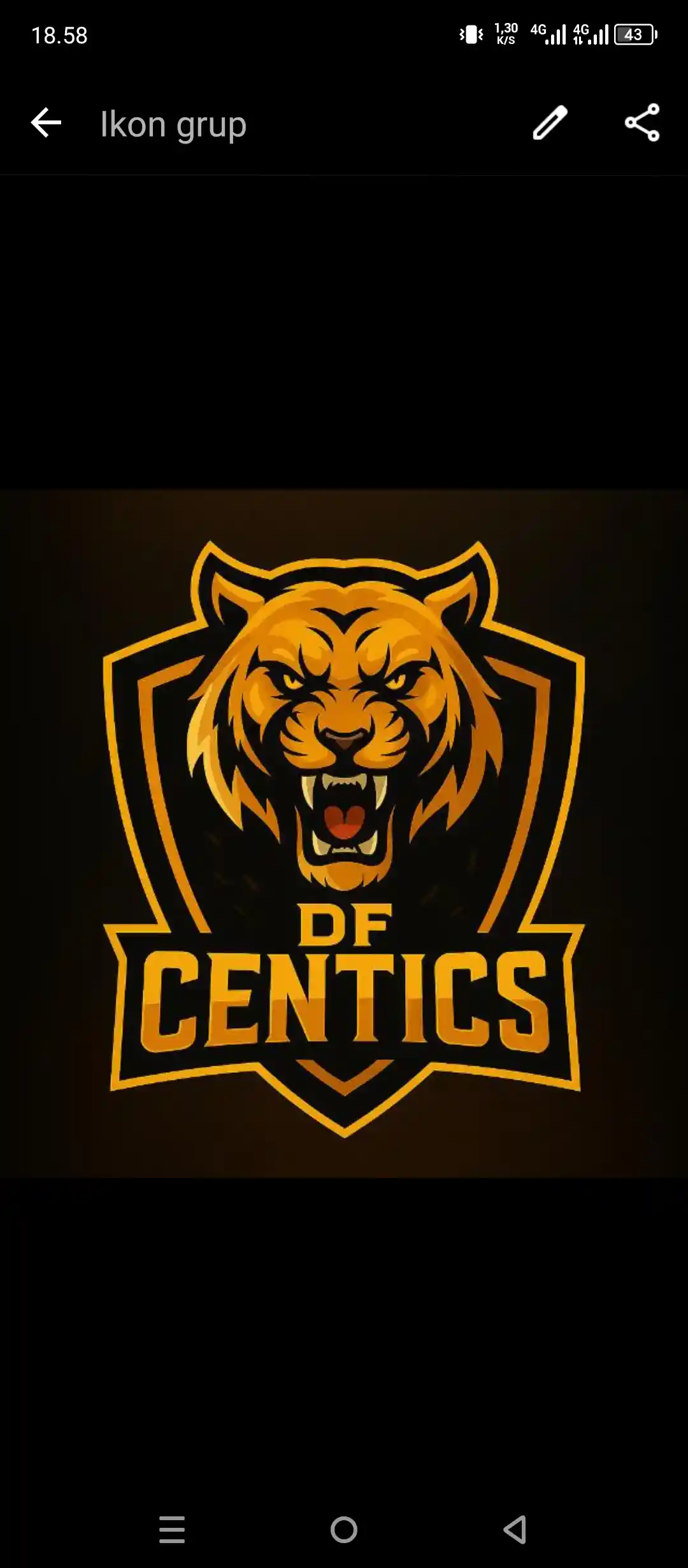 Team