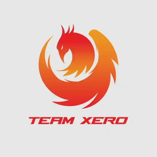 Team